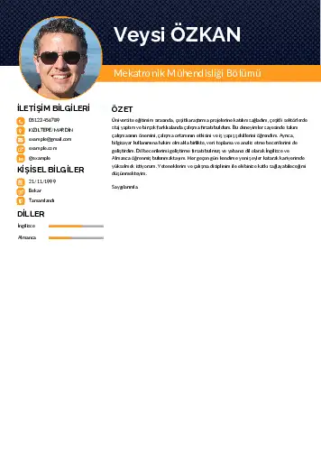 Mekatronik Mühendisliği Cv Örnekleri cv indir